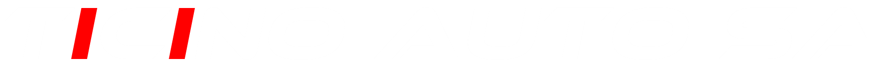 TICINO AUTO SA Logo